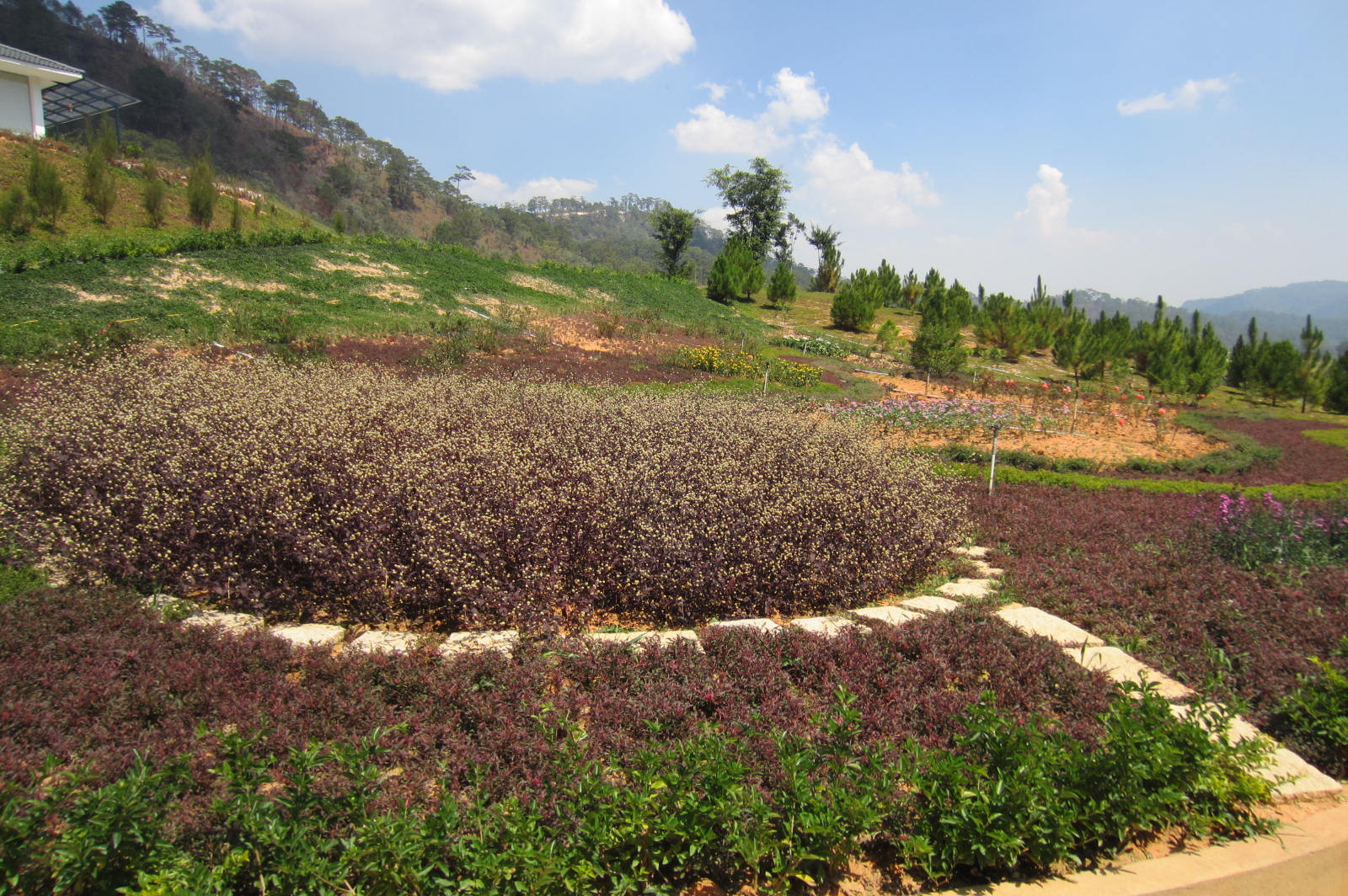 SAM Tuyen Lam Golf Club (